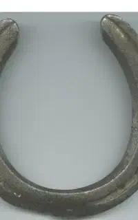 فروش نعل اسب