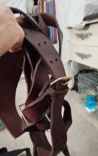 هیکلی علامت کشی