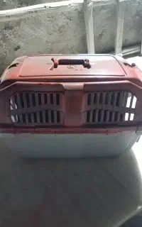 باکس گربه سگ