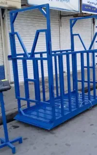 دو تنی باسکول دام،کشی ترازو گوساله