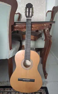 گیتار گودمن