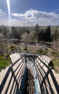 نیازمند یک باغبان مجرب