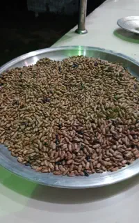 پاچ باقلی