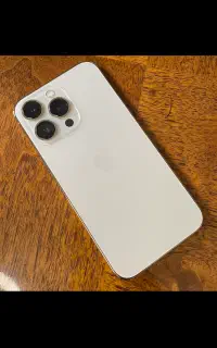 13pro 256
