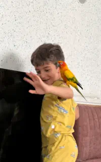 طوطی سخنگو