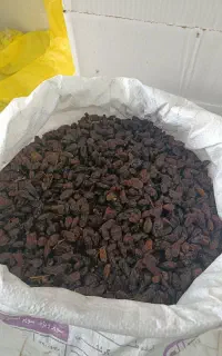 کشمش آفتابی