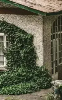 کار ساختمان