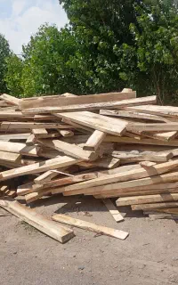 چوب نراد  سفید سنوبر و گردو جنگلی محلی