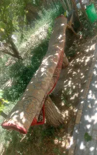 فرش