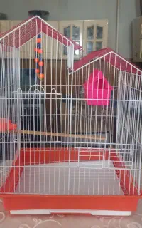 قفس خارجی