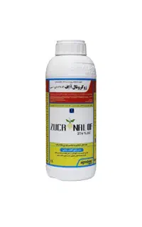 سم زوکرونالof