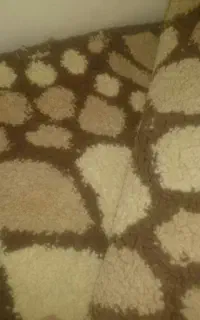 گلیم اندازه دو متر در حدود یک متر