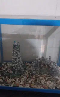 اکواریوم