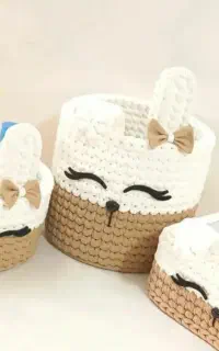 باکس خرگوشی