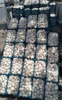 سیر همدان