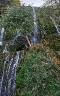 کاشان گلابگیری لحظه اخری باناهاروعصرونه جمعه وشنبه