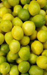 آبلیمو و آبغوره