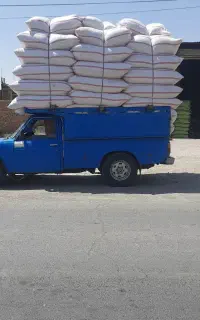 کاه گندم و گندم و جو
