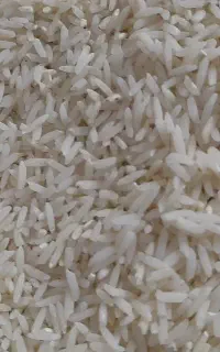 برنج هاشمی الموت (خوش عطر و خوش طعم)