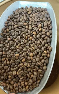 دان قهوه عمده