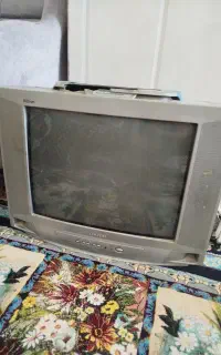 تلویزیون