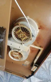 هودبیمکس