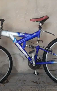 دوچرخه‌فروشی