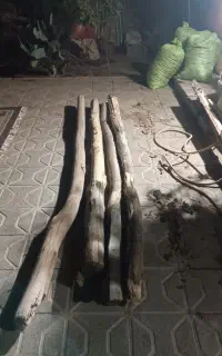 پل چوبی