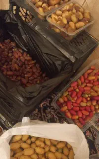 خرما برایه بسته بندی