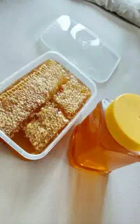 عسل طبیعی کوههای گلیداغ گلستان