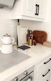 استخدام آشپز خانم