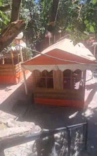 میزبان و ظرف شور
