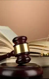 خانم فرجی وکیل پایه یک دادگستری‌ کانون مرکز