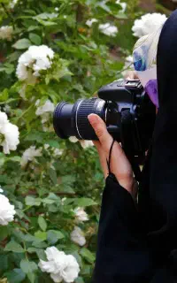 عکاسی در فضای باز (کادر بانو)