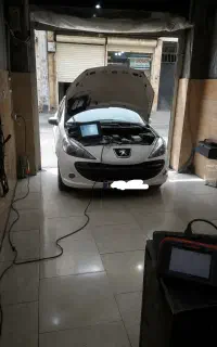 برق خودرو پویا