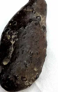 فروش سنگای مشکوک به انواع شهاب