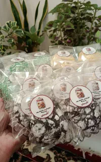 کوکی خانگی