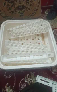 مرغ و خروس و جوجه و دستگاه جوجه کشی