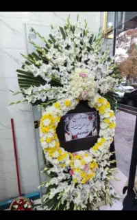 گل مسجد مزار افتتاحیه