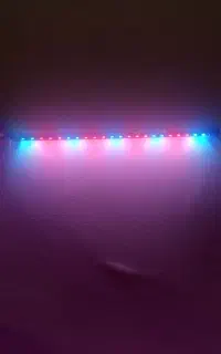 لامپ اکواریوم