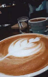 بررسی سرنوشت