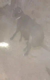 فروش فقط ۷۰تومان