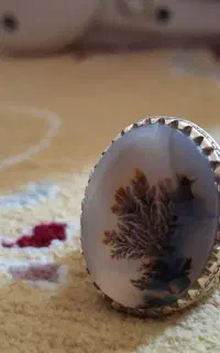 انگشتر شجر