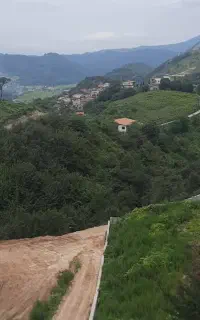 استخدام نگهبان - باغبان داخل شهر بومهن