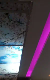 برقکاربرقکش ۲۴ساعته