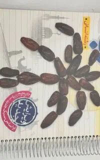 کتاب جامع عربی کنکور ۱۴۰۴ خیلی سبز
