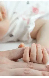 طرح سلامت بانوان باردار بصورت افتخاری