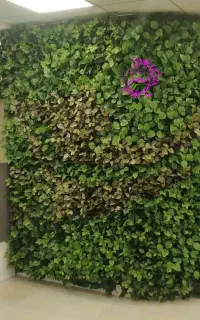 دیوار سبز مدل تراکم بالا و حالت طبیعی