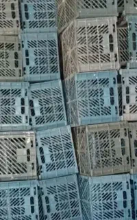 7000 عدد سبد ۳ ردیف با درب