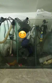 اکواریوم